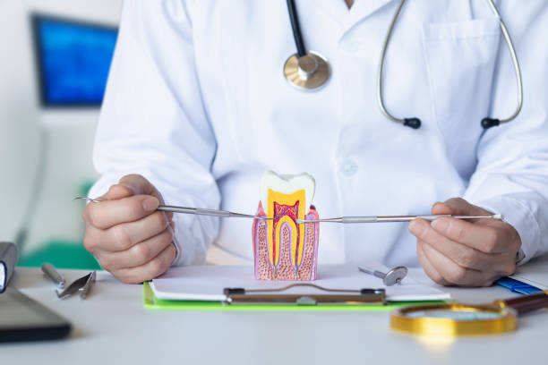 Best Emergency Dental Care for Broken or Chipped Teeth in Wakefield, KS